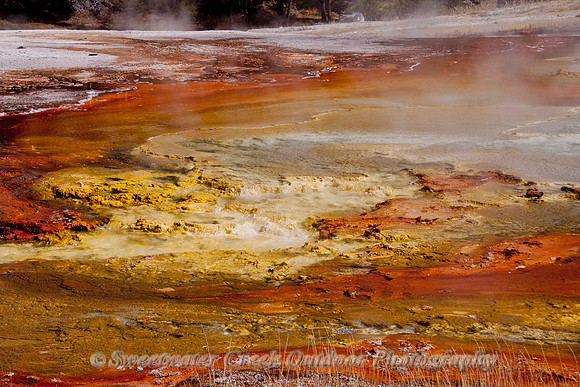 Hot Spring Colors