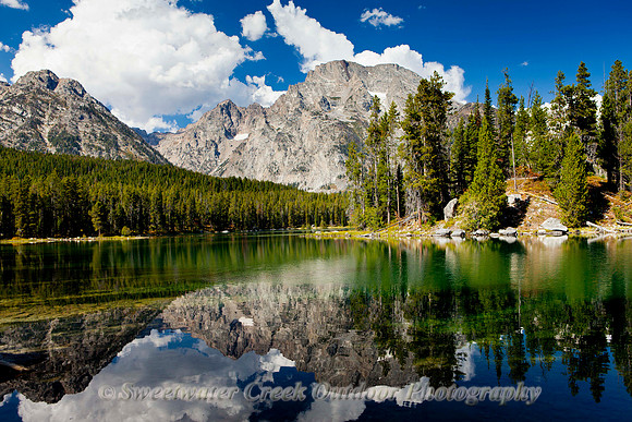 Moran Reflections