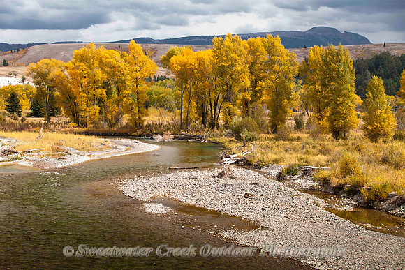 Autumn Beneath the Indian
