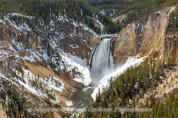 Spring at Lower Falls