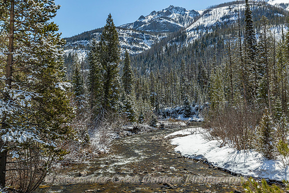 Springtime Mountain Stream