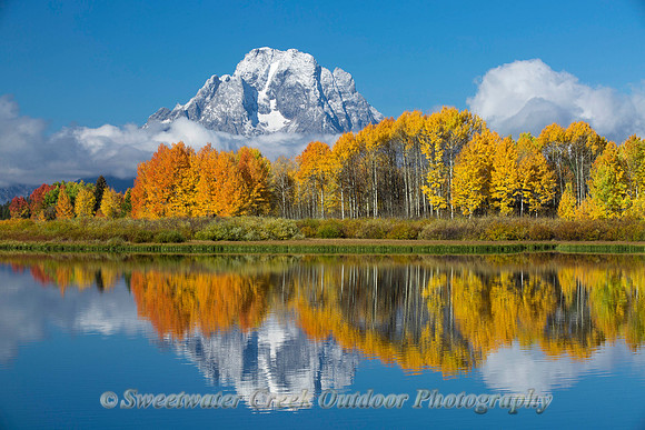 All the Colors of Fall