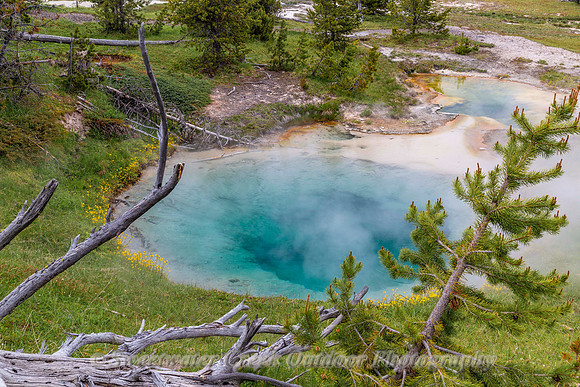 Hot Spring Time
