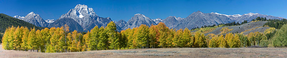 Moran in Fall