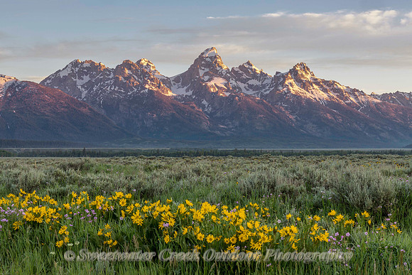 Springtime Sunrise