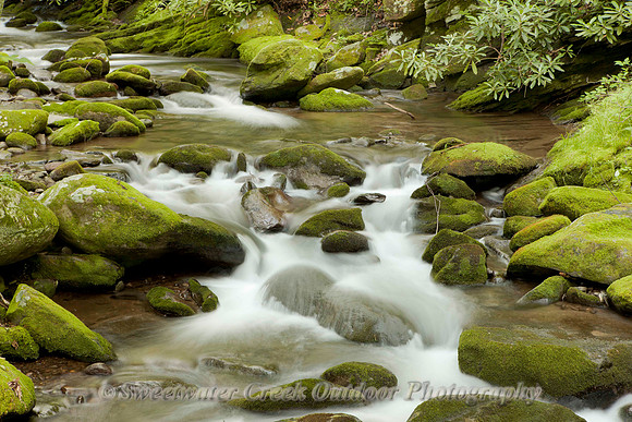Smoky Mountain Velvet