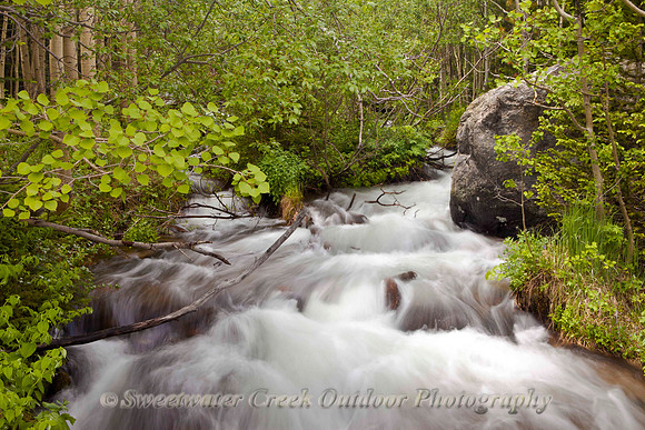 Fall River Rushing
