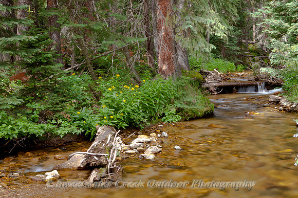 Flowing Softly