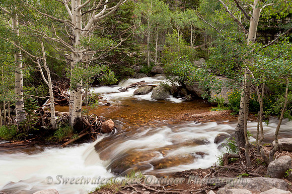Summer on Glacier Creek