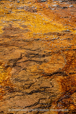 Copper Mosiac