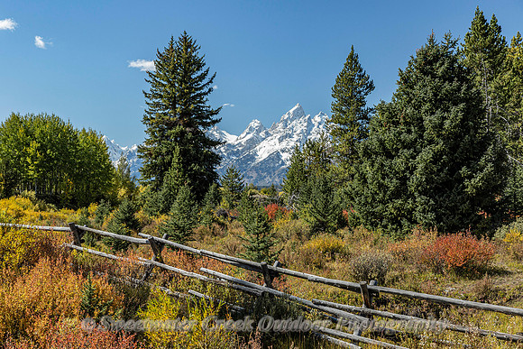 Grand Fall Colors