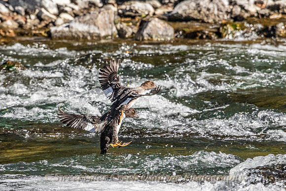 Cleared for Landing