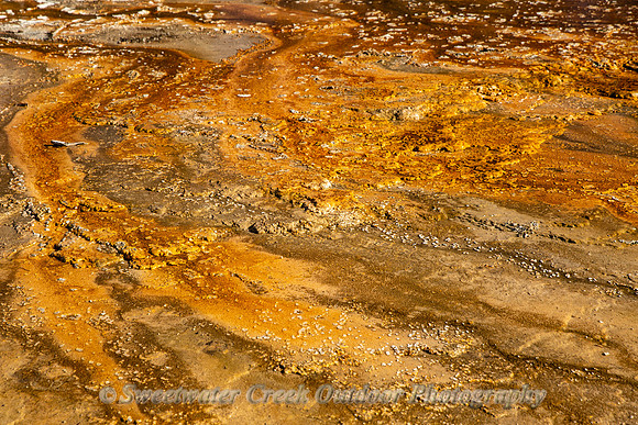 Many Shades of Orange