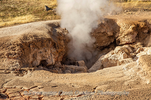 Steaming Hot