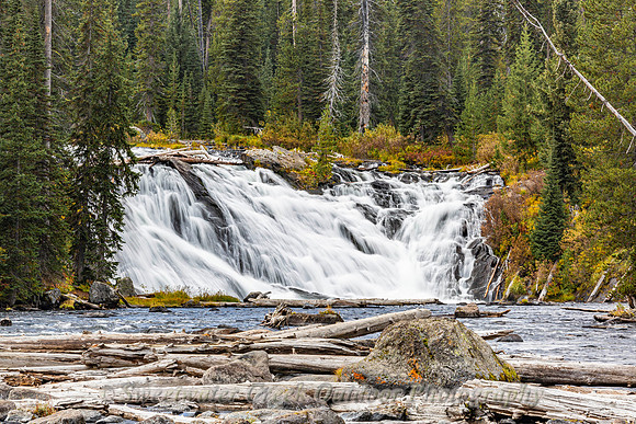 Log Jam at Lewis