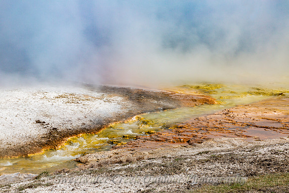 Colors in the Mist