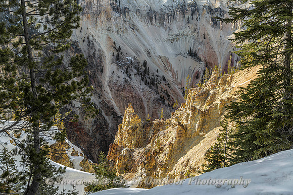 The Yellow Stone of Yellowstone