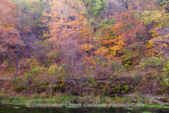 Current River Colors