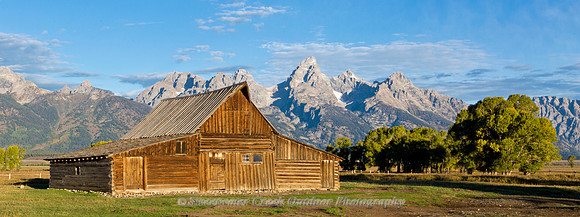 Morning at the Barn