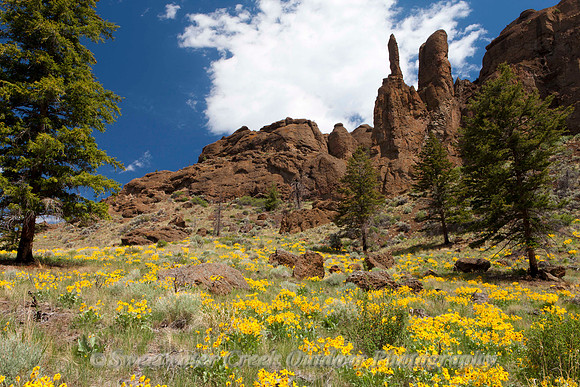 Springtime on the North Fork