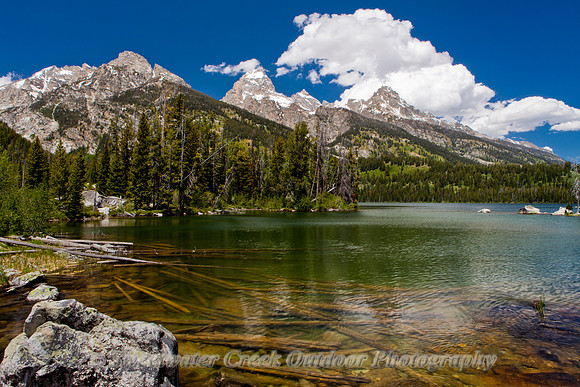 Summer on Taggart Lake